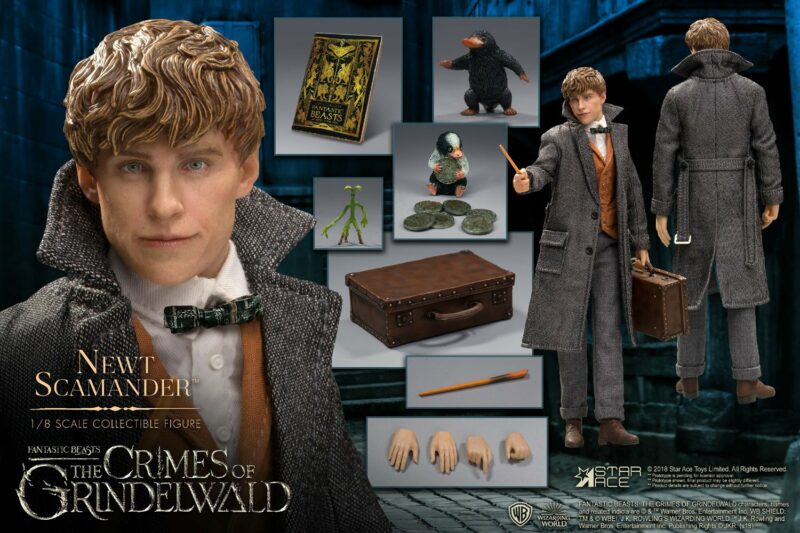 Fantastic Beasts 2 Real Master Series Action Figure 1/8 Newt Scamander 23 cm - immagine 3