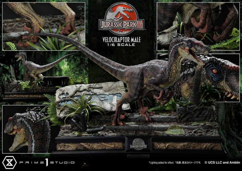 Jurassic Park III Legacy Museum Collection Statue 1/6 Velociraptor Male 40 cm - immagine 6