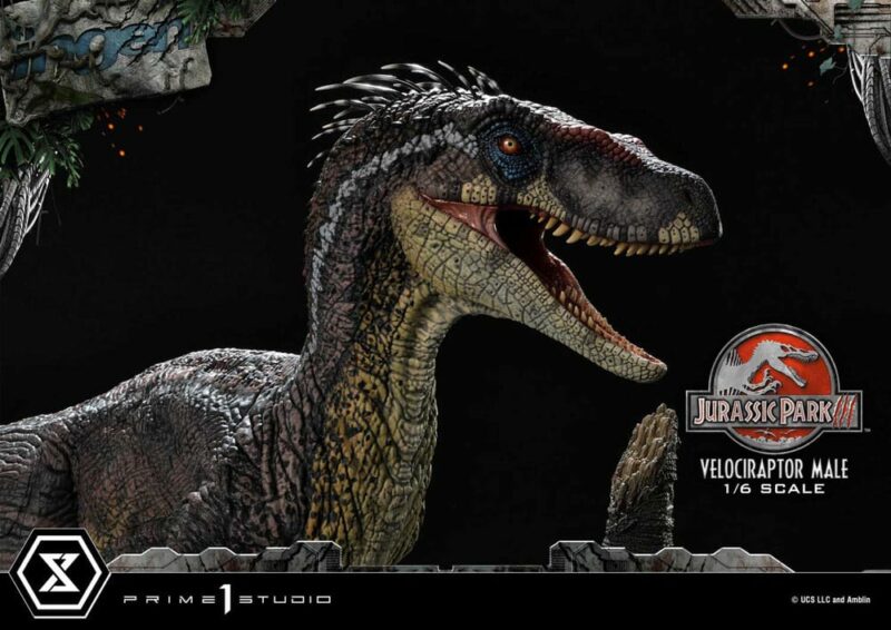 Jurassic Park III Legacy Museum Collection Statue 1/6 Velociraptor Male 40 cm - immagine 4