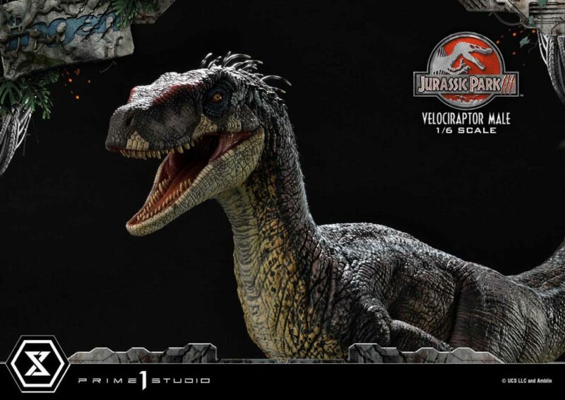 Jurassic Park III Legacy Museum Collection Statue 1/6 Velociraptor Male 40 cm - immagine 5