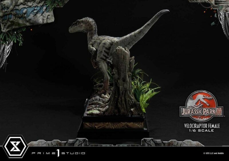 Jurassic Park III Legacy Museum Collection Statue 1/6 Velociraptor Female Bonus Version 44 cm - immagine 3