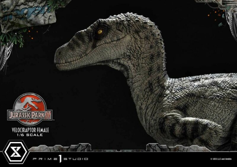 Jurassic Park III Legacy Museum Collection Statue 1/6 Velociraptor Female Bonus Version 44 cm - immagine 4