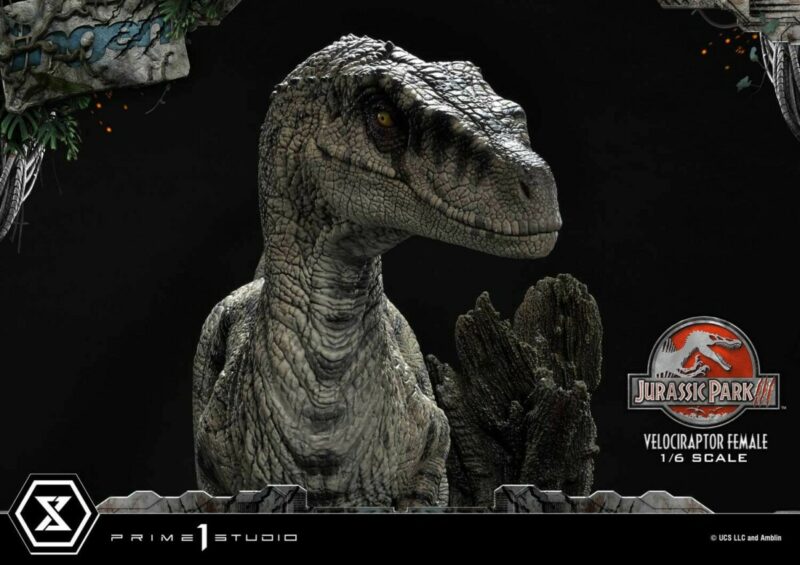 Jurassic Park III Legacy Museum Collection Statue 1/6 Velociraptor Female Bonus Version 44 cm - immagine 5