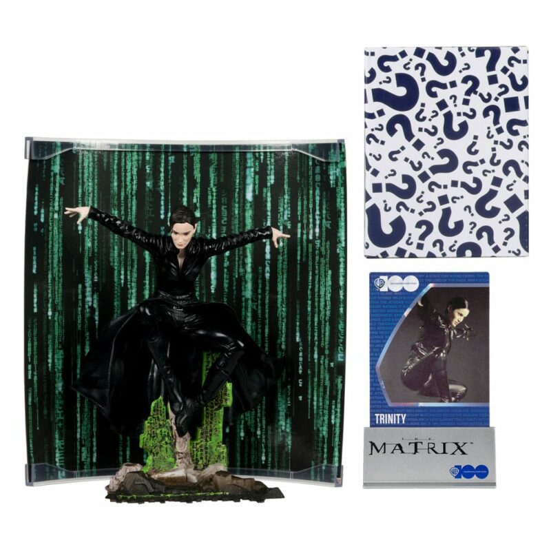 Matrix Movie Maniacs Action Figure Trinity 15 cm - immagine 2
