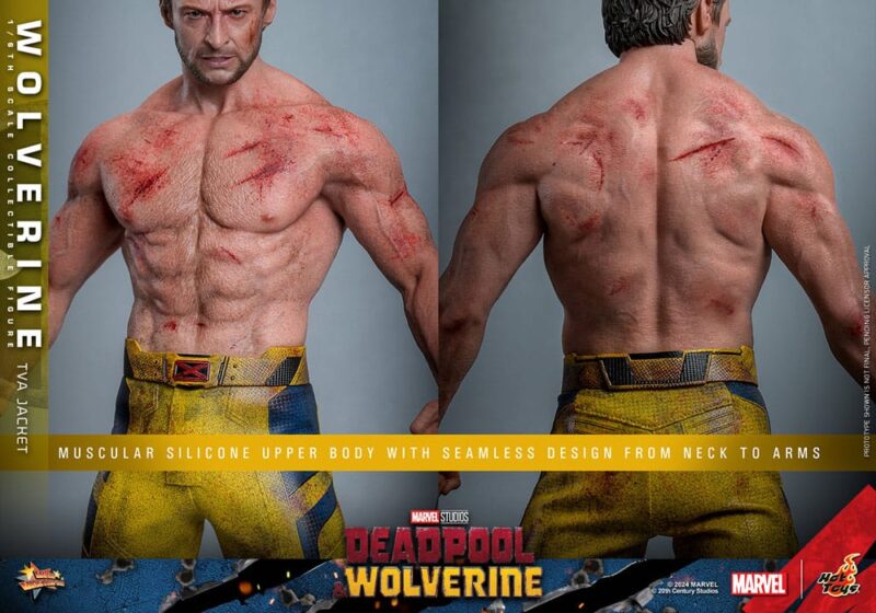 Deadpool & Wolverine Movie Masterpiece Action Figure 1/6 Wolverine (TVA Jacket Version) 31 cm - immagine 6