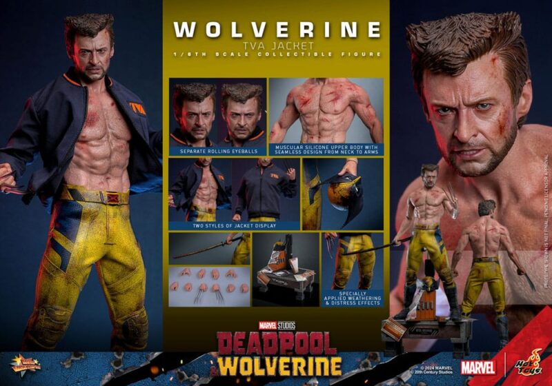 Deadpool & Wolverine Movie Masterpiece Action Figure 1/6 Wolverine (TVA Jacket Version) 31 cm - immagine 7