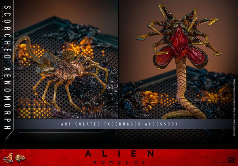 Alien: Romulus Movie Masterpiece Action Figure 1/6 Scorched Xenomorph 44 cm - immagine 7