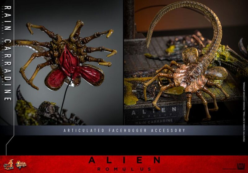 Alien: Romulus Movie Masterpiece Action Figure 1/6 Rain Carradine 26 cm - immagine 6