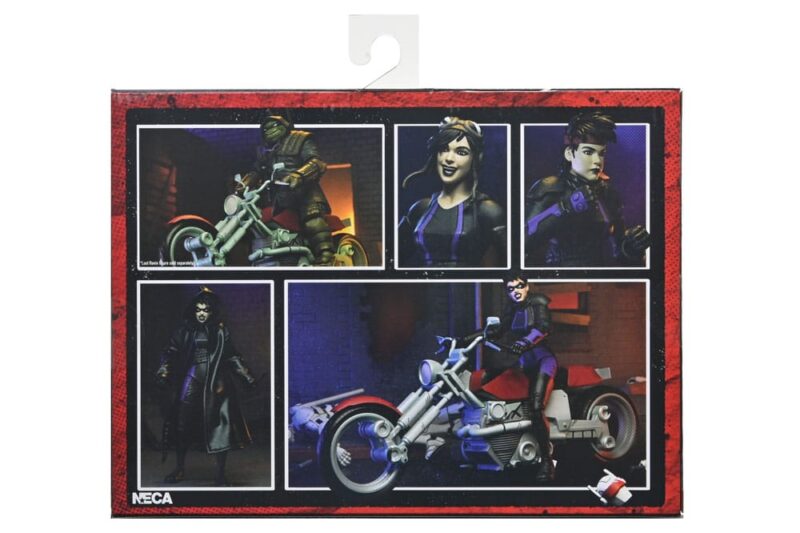 Teenage Mutant Ninja Turtles (The Last Ronin The Lost Years) Action Figure Casey Marie with Last Ronin Motorcycle 18 cm - immagine 3