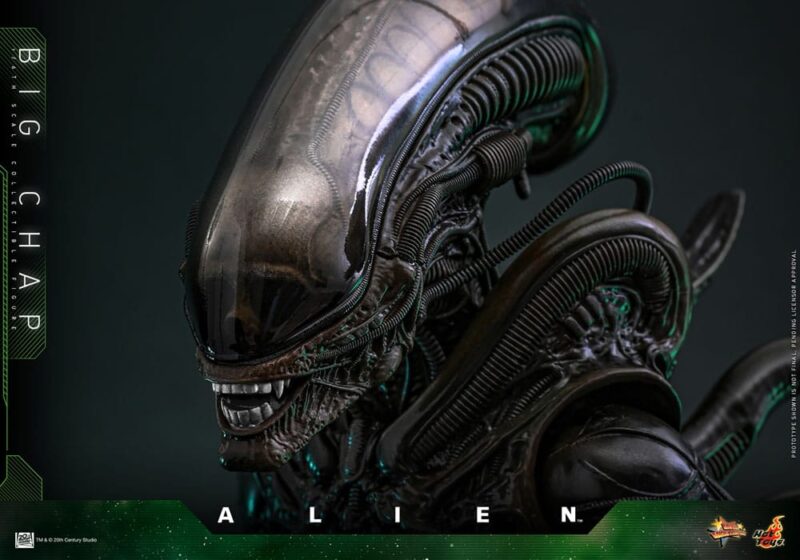 Alien Movie Masterpiece Action Figure 1/6 Big Chap 36 cm - immagine 6